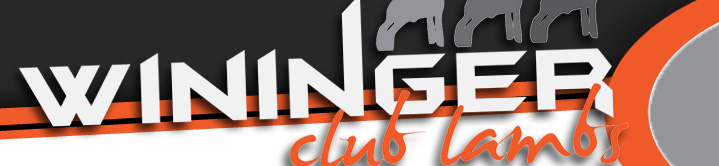Wininger Club Lambs