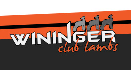 Wininger Club Lambs
